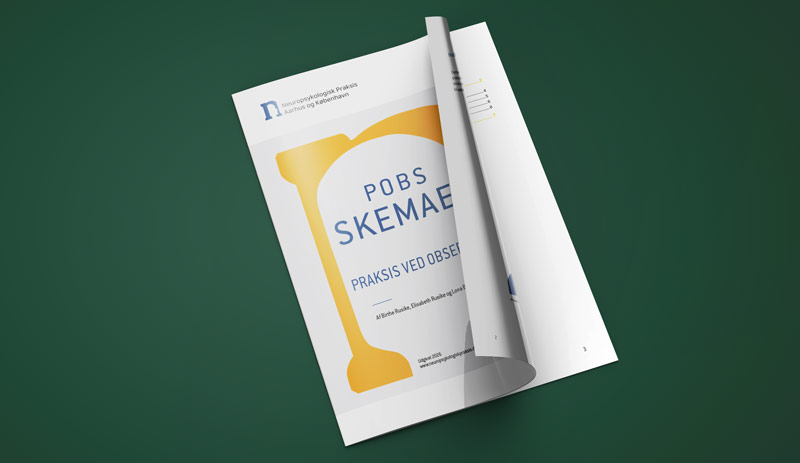POBS manual
